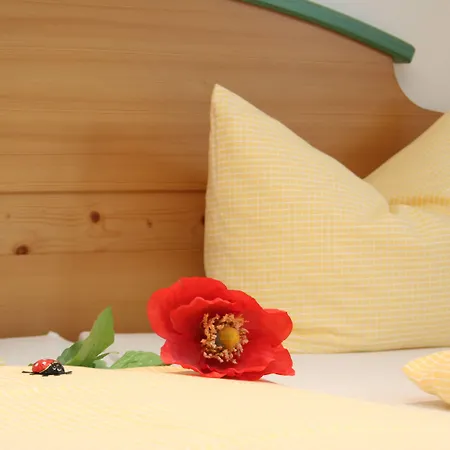 Villawilli - Gemuetliche Appartement